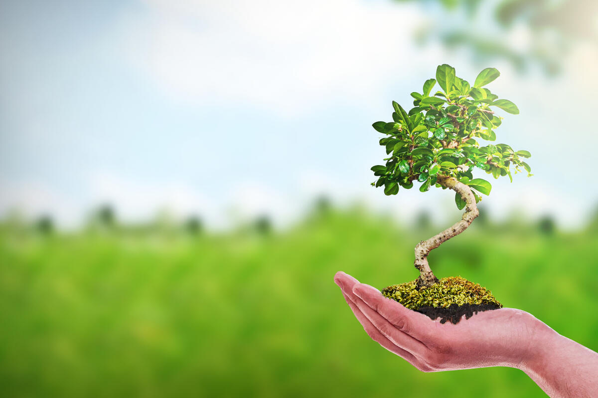 碳中和与雾霾污染：破局生态困局的双轮驱动